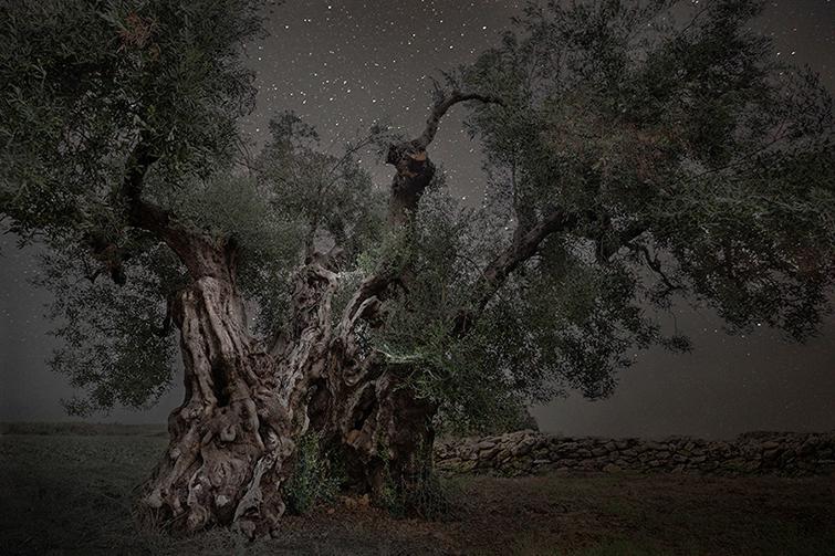 Beth Moon